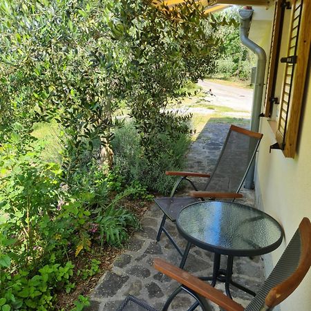 Apartma Istra Zora Сечовлє Екстер'єр фото