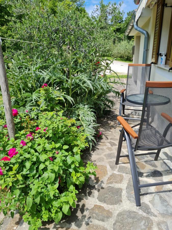 Apartma Istra Zora Сечовлє Екстер'єр фото