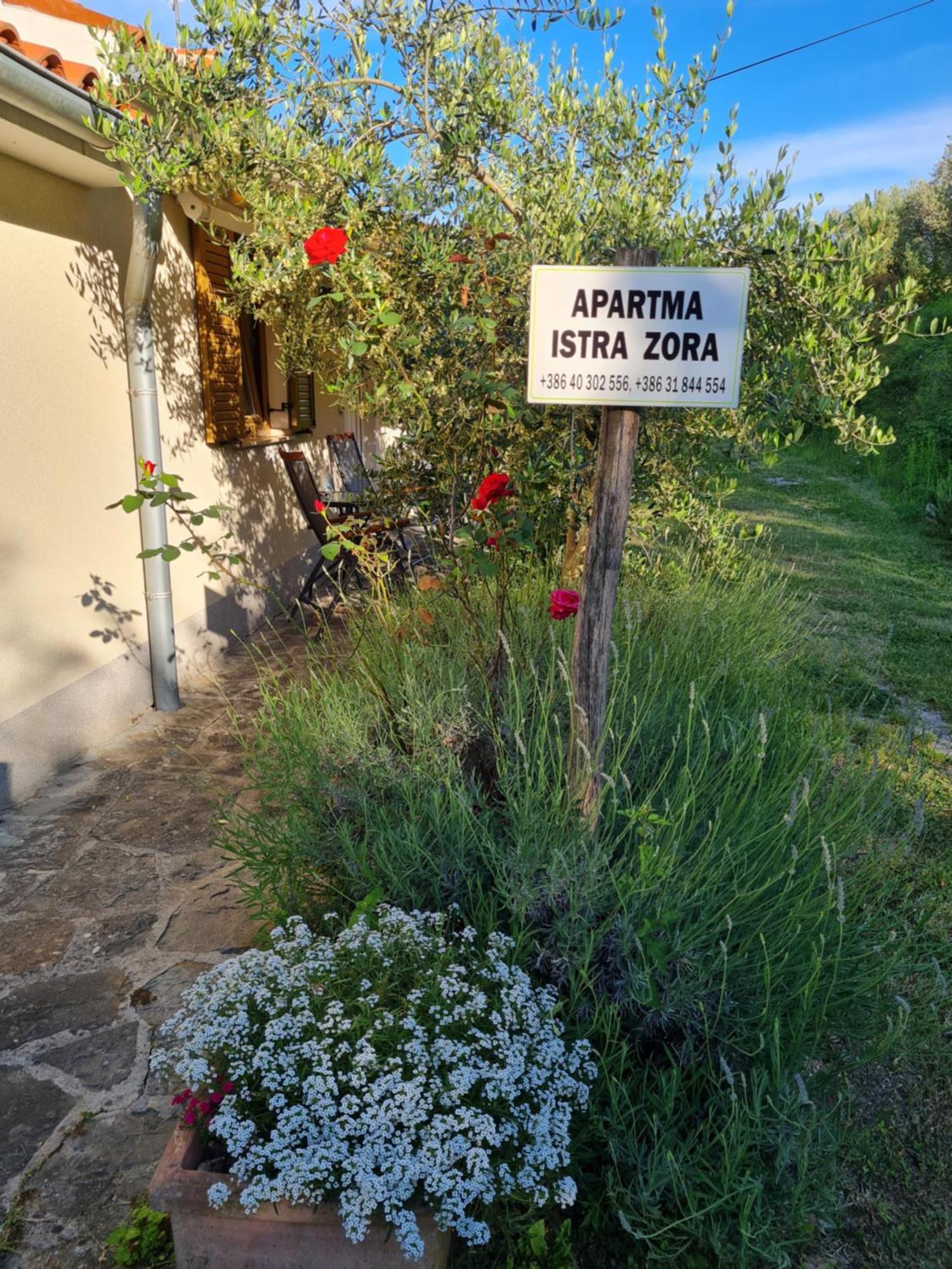 Apartma Istra Zora Сечовлє Екстер'єр фото