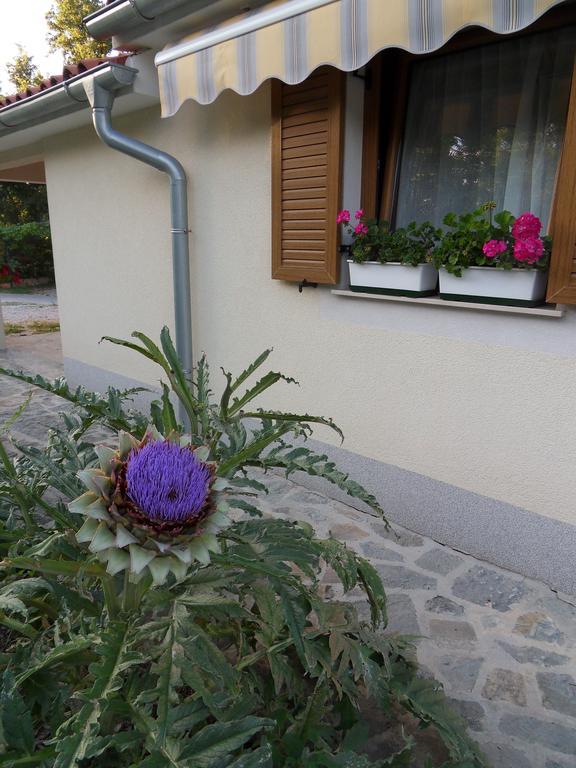 Apartma Istra Zora Сечовлє Екстер'єр фото
